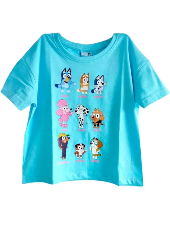 luzna-bluzka-z-krotkim-rekawem-bluey